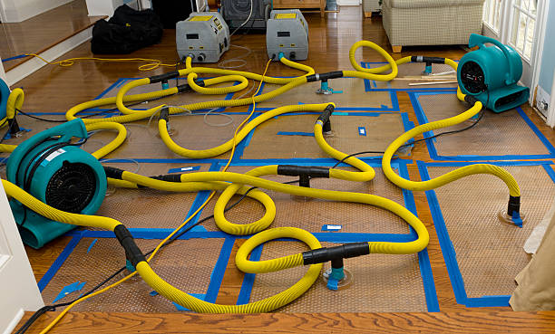 Professional Water Damage Restoration technician working in Roan Mountain, TN